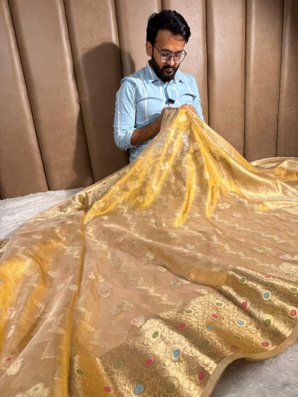 Never Seen Copper Tissue Silk Meenakari Banarasi Saree