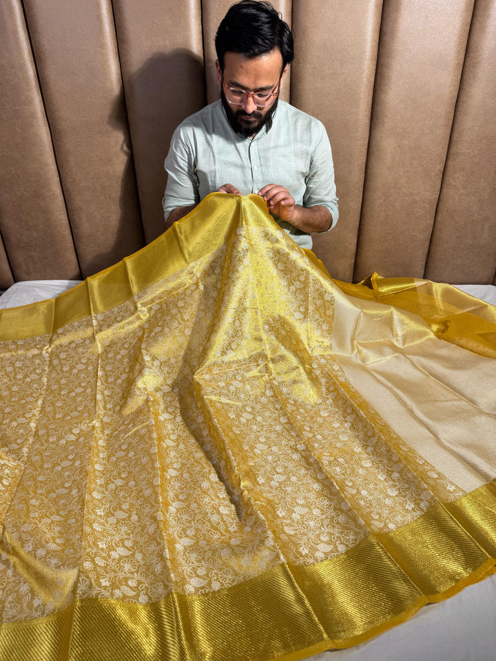 Original Banarasi Tissue Weaved Chikankari Saree with Rich Pallu & Blouse