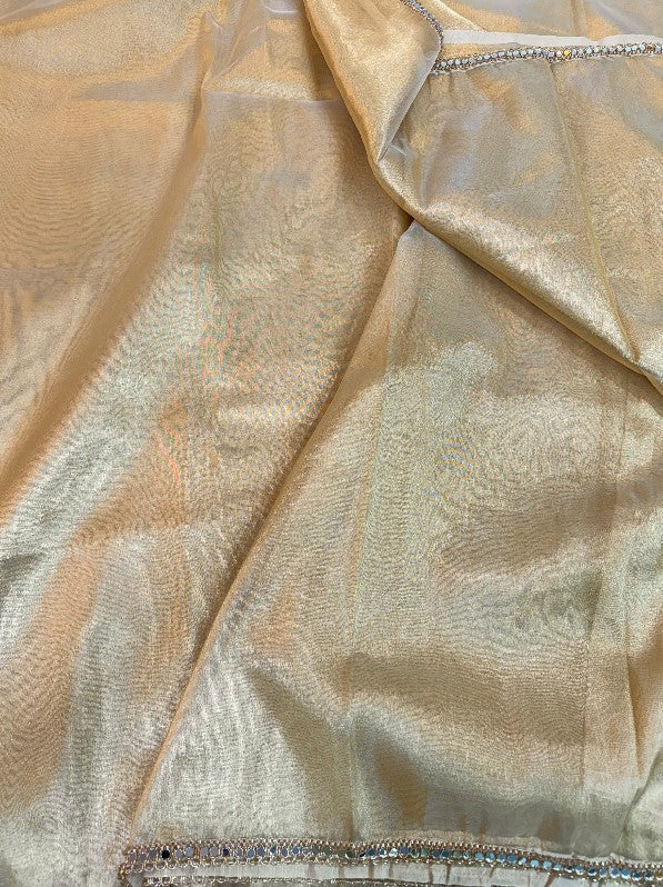 Heeramandi inspired GLASS TISSUE SILK SAREE