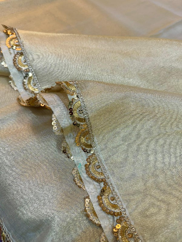 Heeramandi inspired GLASS TISSUE SILK SAREE