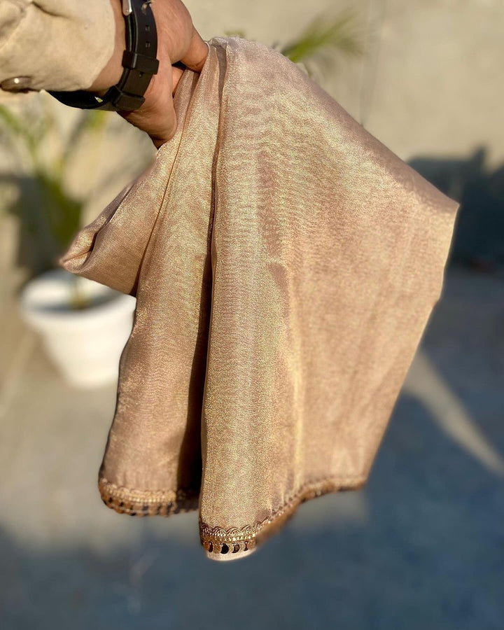 Jhanvi Kapoor Inspired Tissue Silk saree with lace