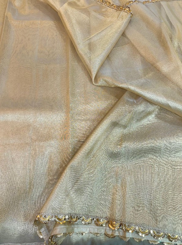 Heeramandi inspired GLASS TISSUE SILK SAREE