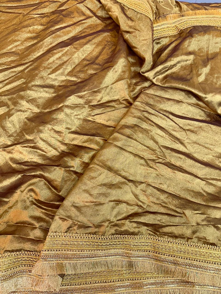 Heeramandi inspired GLASS TISSUE SILK SAREE