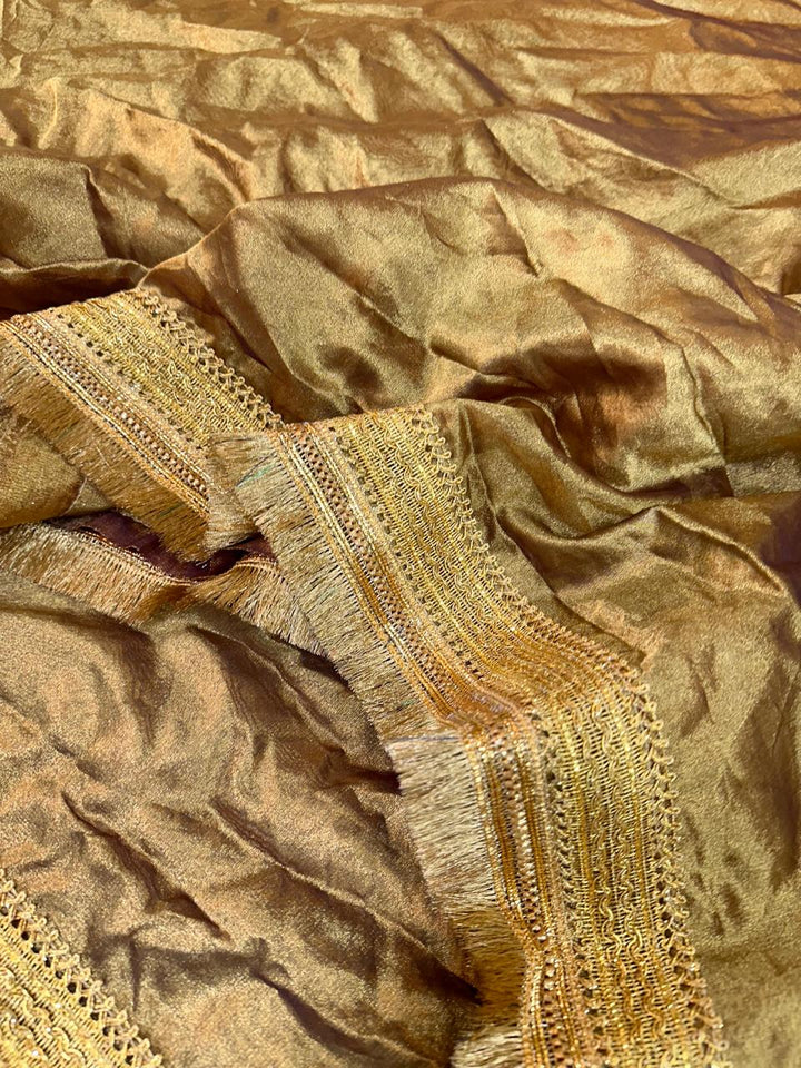 Heeramandi inspired GLASS TISSUE SILK SAREE