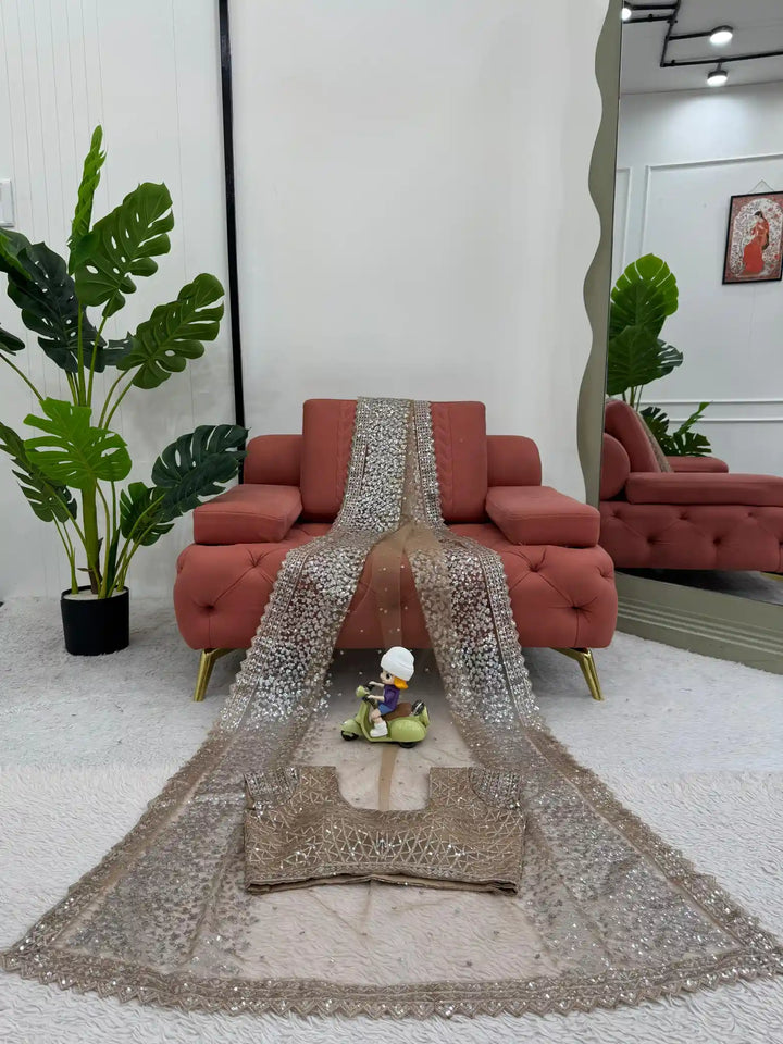 Dreamy Saree Premium net fabric with sequence work saree with exclusive border