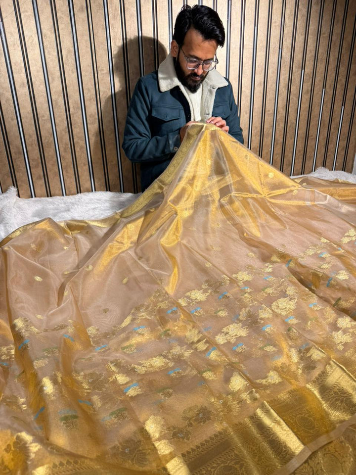 Copper Tissue Silk Floral Meenakari Weave Banarasi Saree 