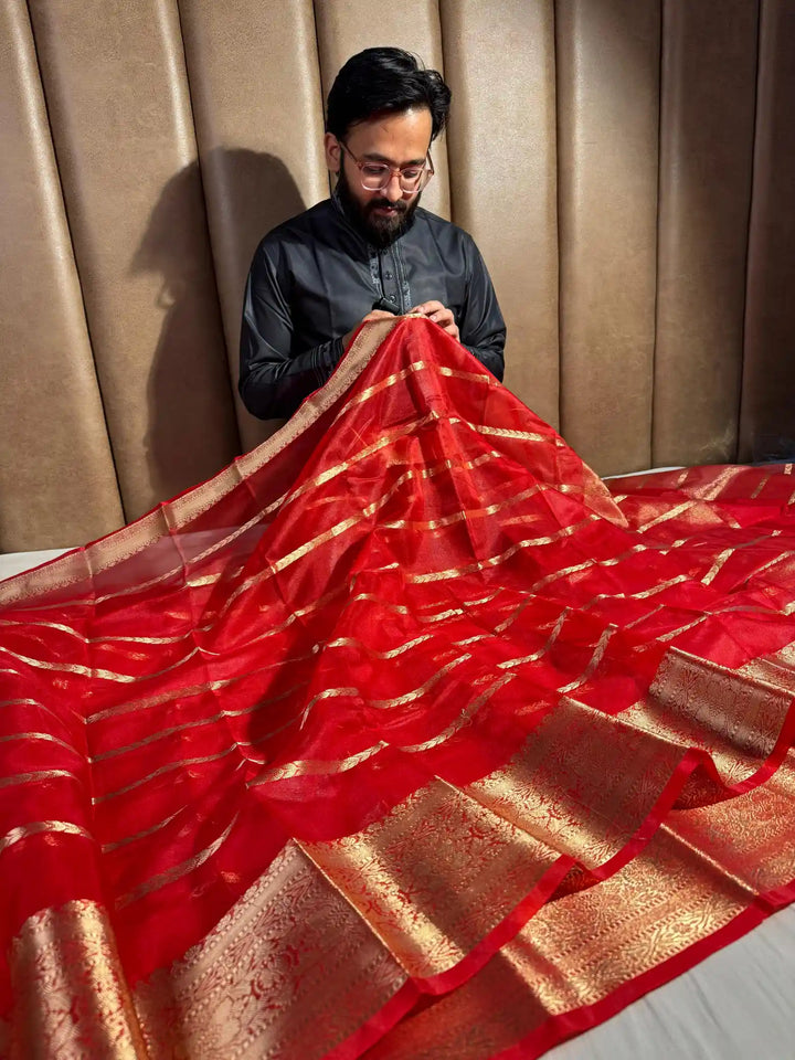DD Mam inspired Red Organza Silk Saree