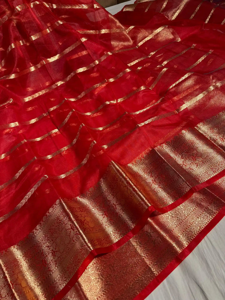 DD Mam inspired Red Organza Silk Saree