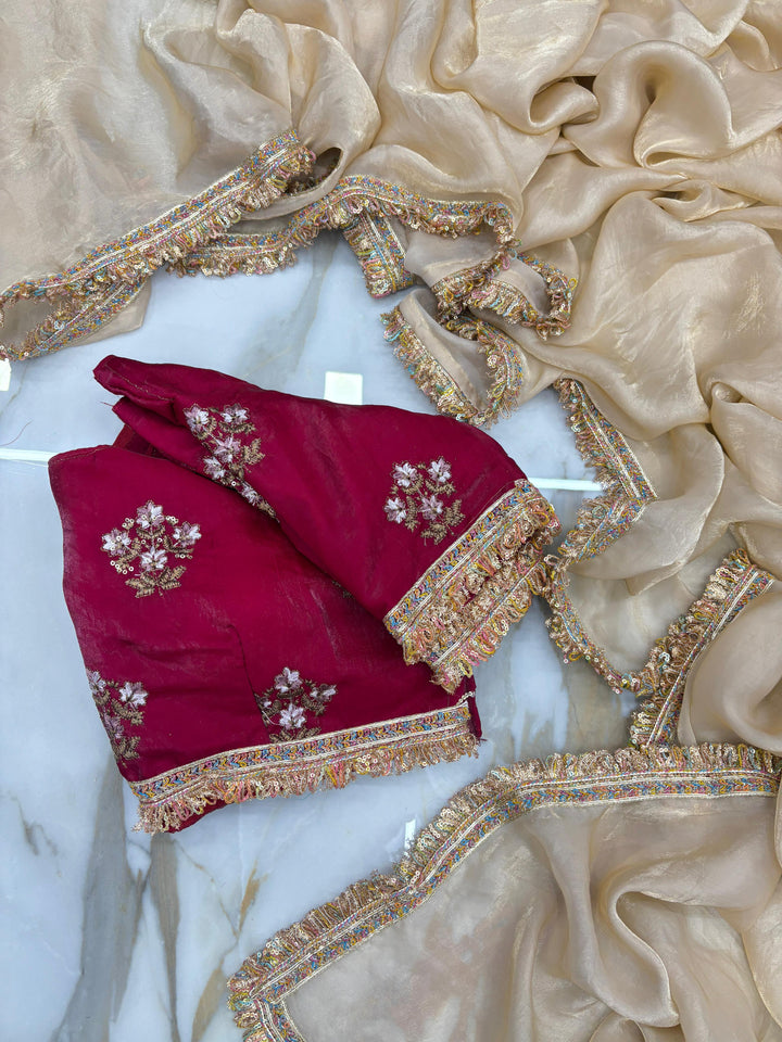 Dark Ivory Shimmery Tissue Saree With Pretty Lace Work