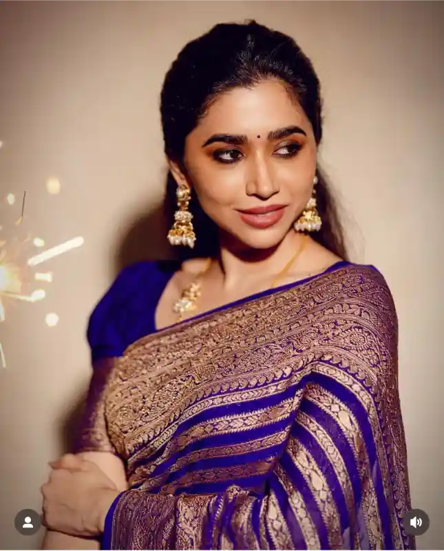 Dark Purple Warm Silk Handloom Inspired Banarasi Saree