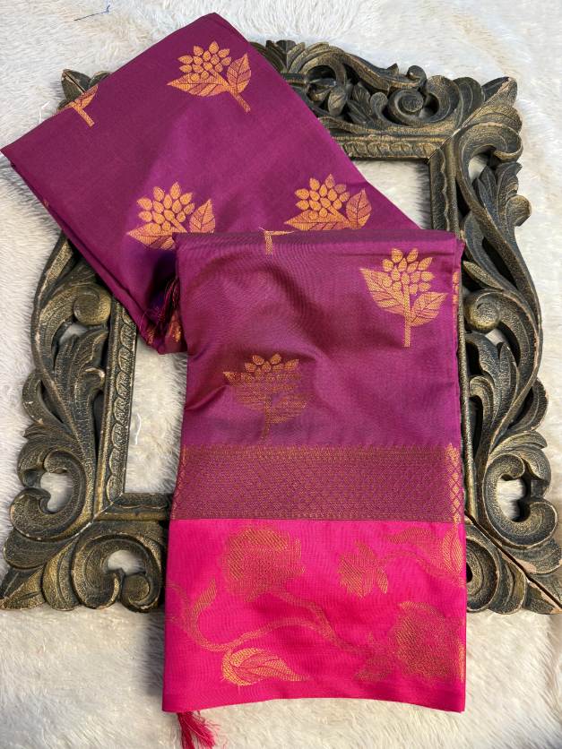 Eccentric zari weave Softsilk Banarasi Saree