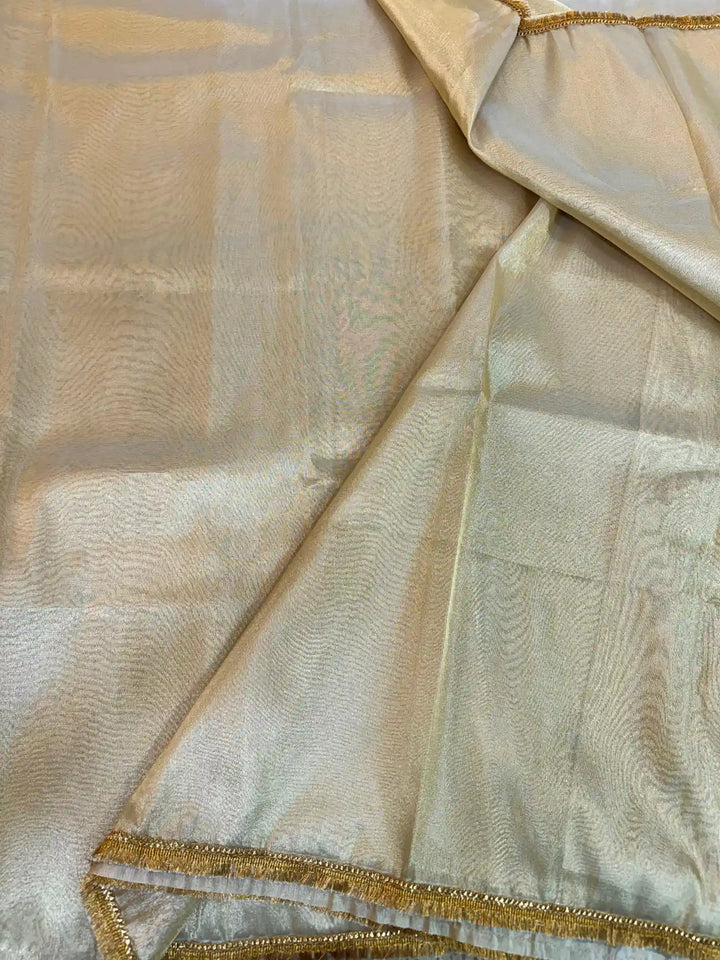 HEERAMANDI INSPIRED GLASS TISSUE SILK SAREE