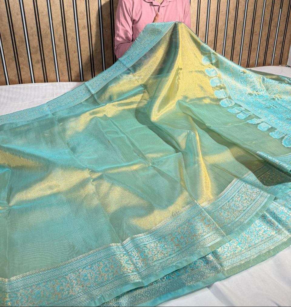 Heritage Eccentric weave soft tissue silk Banarasi saree