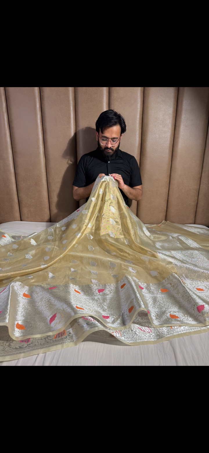 Nita Ambani mam inspired kanchipuram tissue silk saree