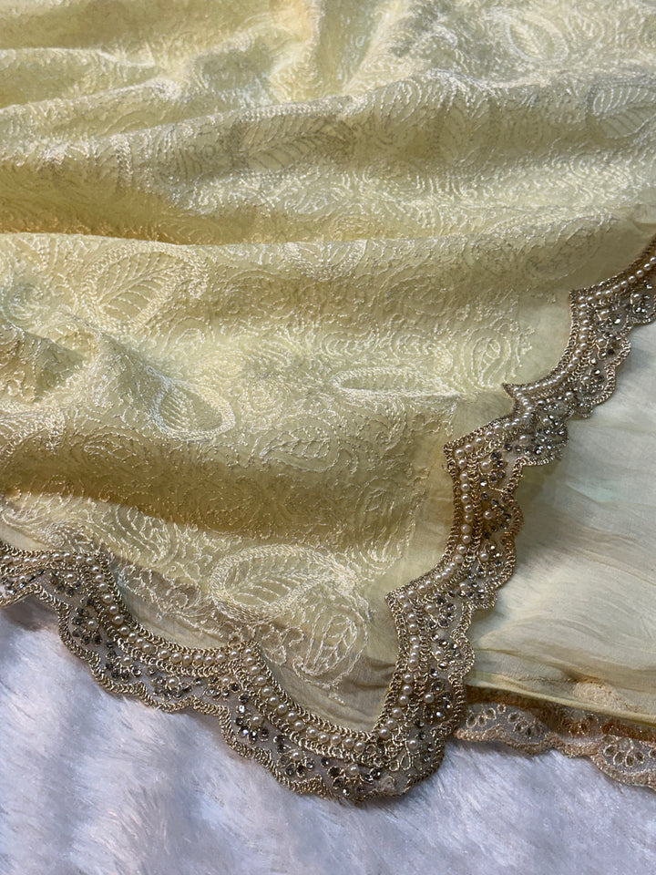 Pure Mul Cotton chikankari saree with motiwork lace border and scelup pallu