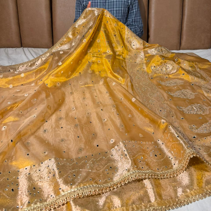 Never Seen Copper Gold Tissue Mirror Work Saree