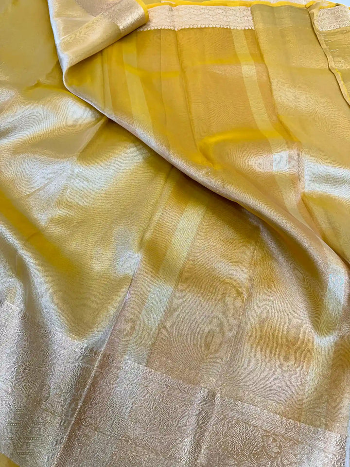 Janhvi Kappor In beautiful Tissue Silk Saree