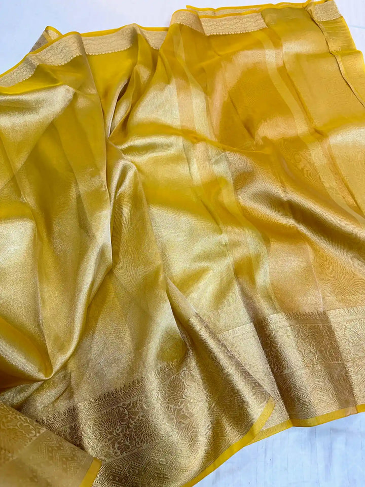 Janhvi Kappor In beautiful Tissue Silk Saree