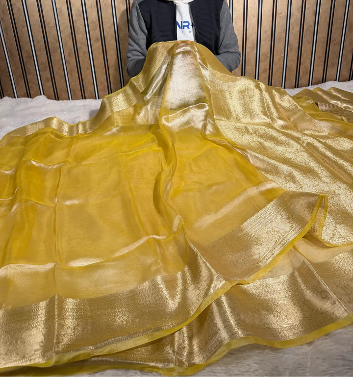 Jhanvi Ma’am Inspired Pure Tissue Silk Banarasi Saree