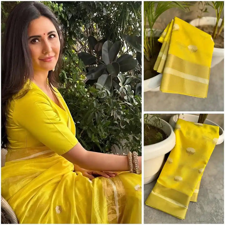 Katrina Kaif mam inspired linen cotton silk saree in traditional simplistic design