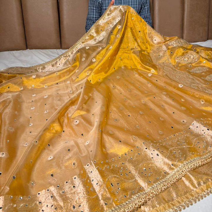 Never Seen Copper Gold Tissue Mirror Work Saree