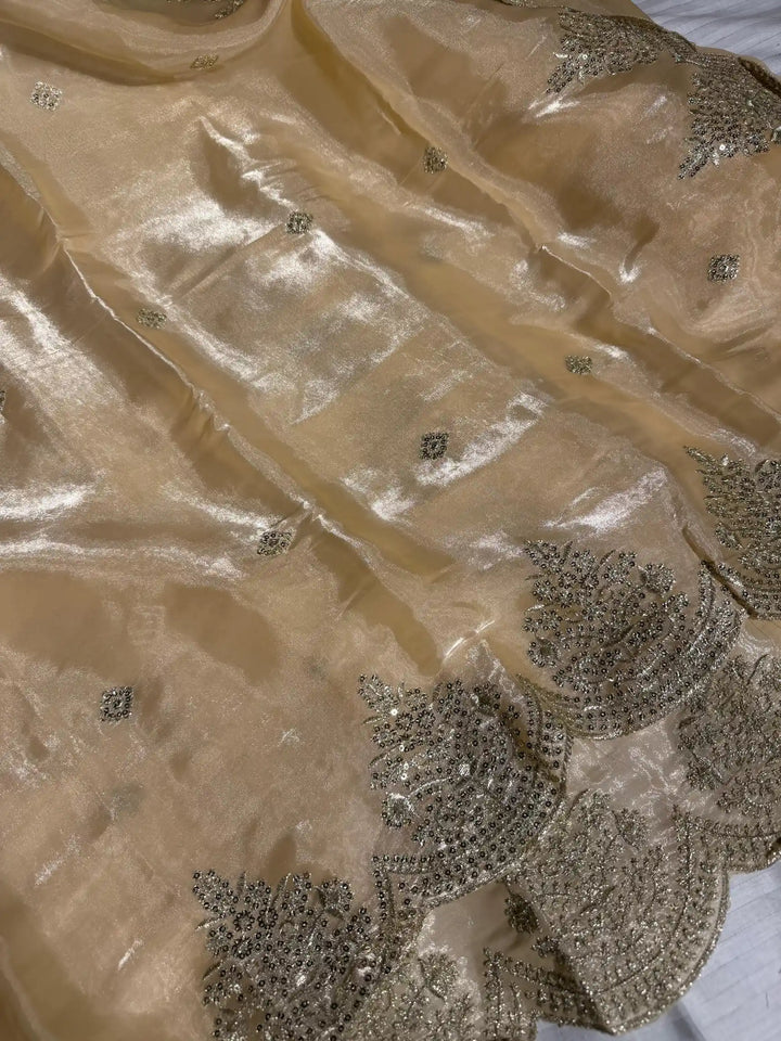 Light Cream Shimmery Tissue Silk Designer Saree