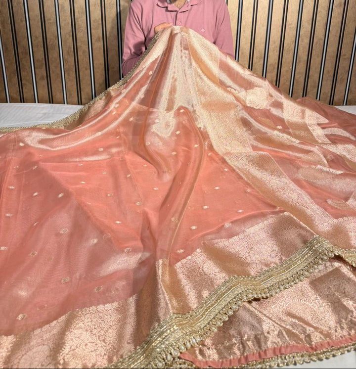 Light peach Eccentric Tissue silk Banarasi saree with Designer lace Work