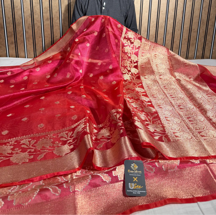 Metallic Rani Kora Tissue Silk Eccentric Banarasi Saree