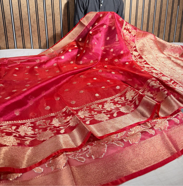 Metallic Rani Kora Tissue Silk Eccentric Banarasi Saree