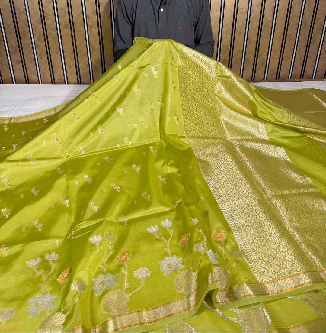 Mint Green Eccentric Raw Dupion Silk Banarasi Saree