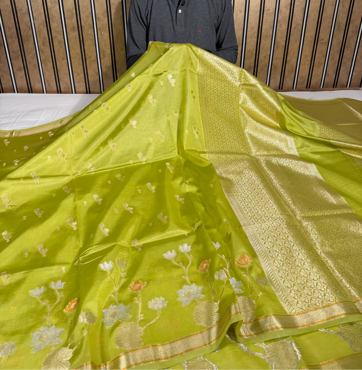 Mint Green Eccentric Raw Dupion Silk Banarasi Saree