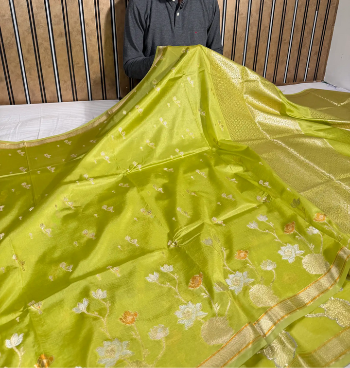 Mint Green Eccentric Raw Dupion Silk Banarasi Saree