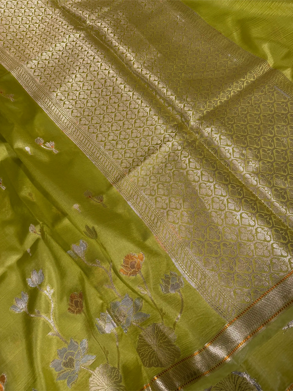 Mint Green Eccentric Raw Dupion Silk Banarasi Saree