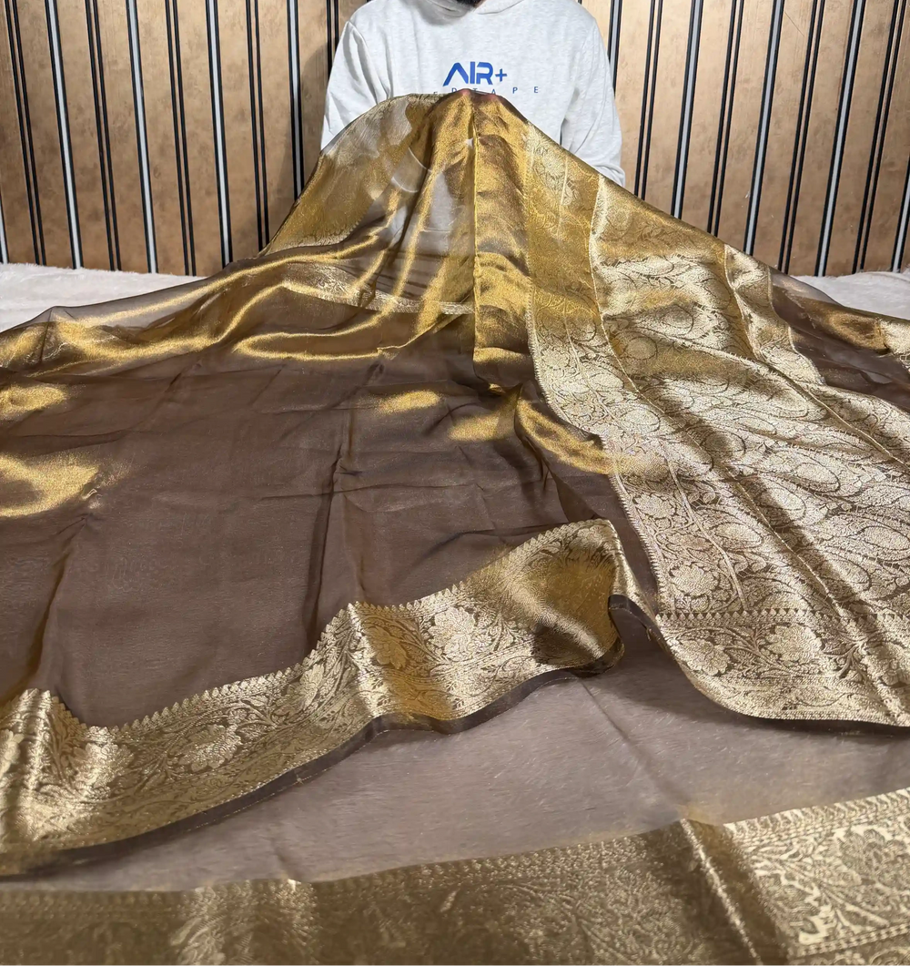 Moose Brown Pure Tissue Silk Banarasi Saree