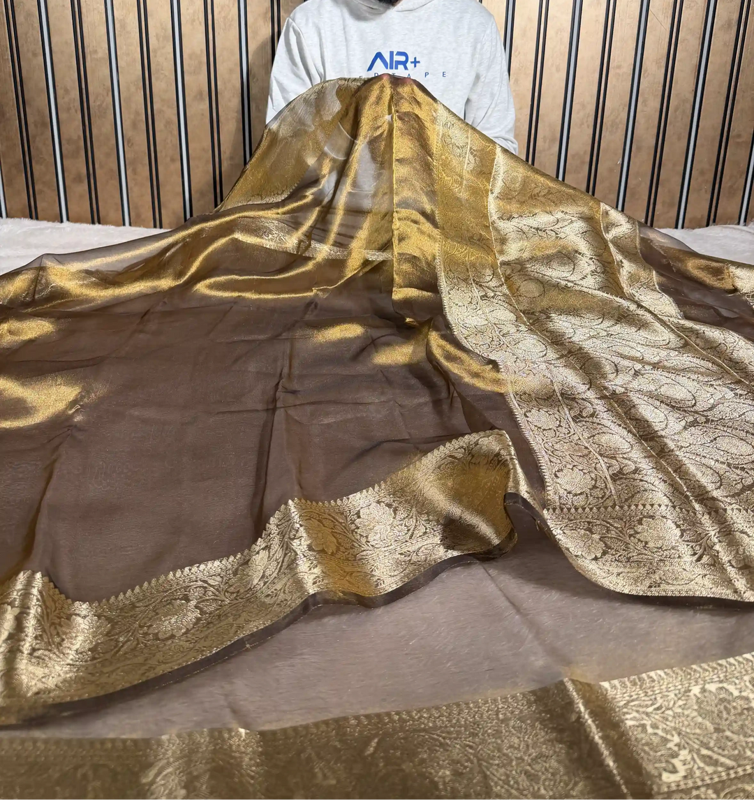 Moose Brown Pure Tissue Silk Banarasi Saree