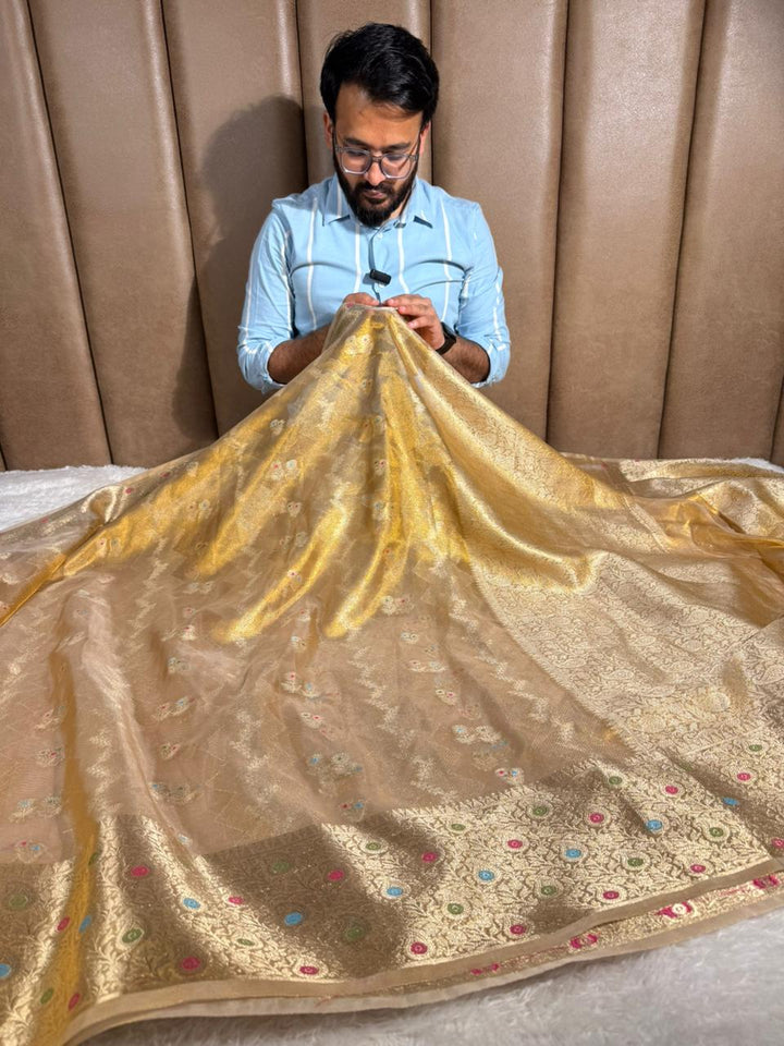 Never Seen Copper Tissue Silk Meenakari Banarasi Saree