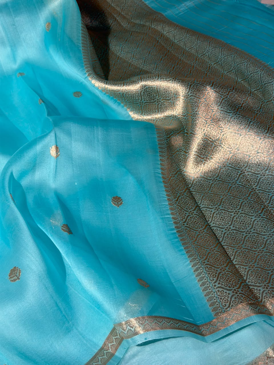 Pastel Blue Handwoven Pure Organza Banarasi Saree