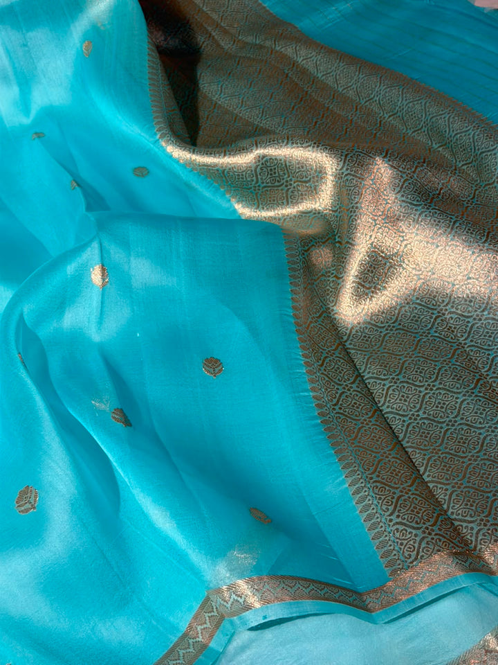 Pastel Blue Handwoven Pure Organza Banarasi Saree
