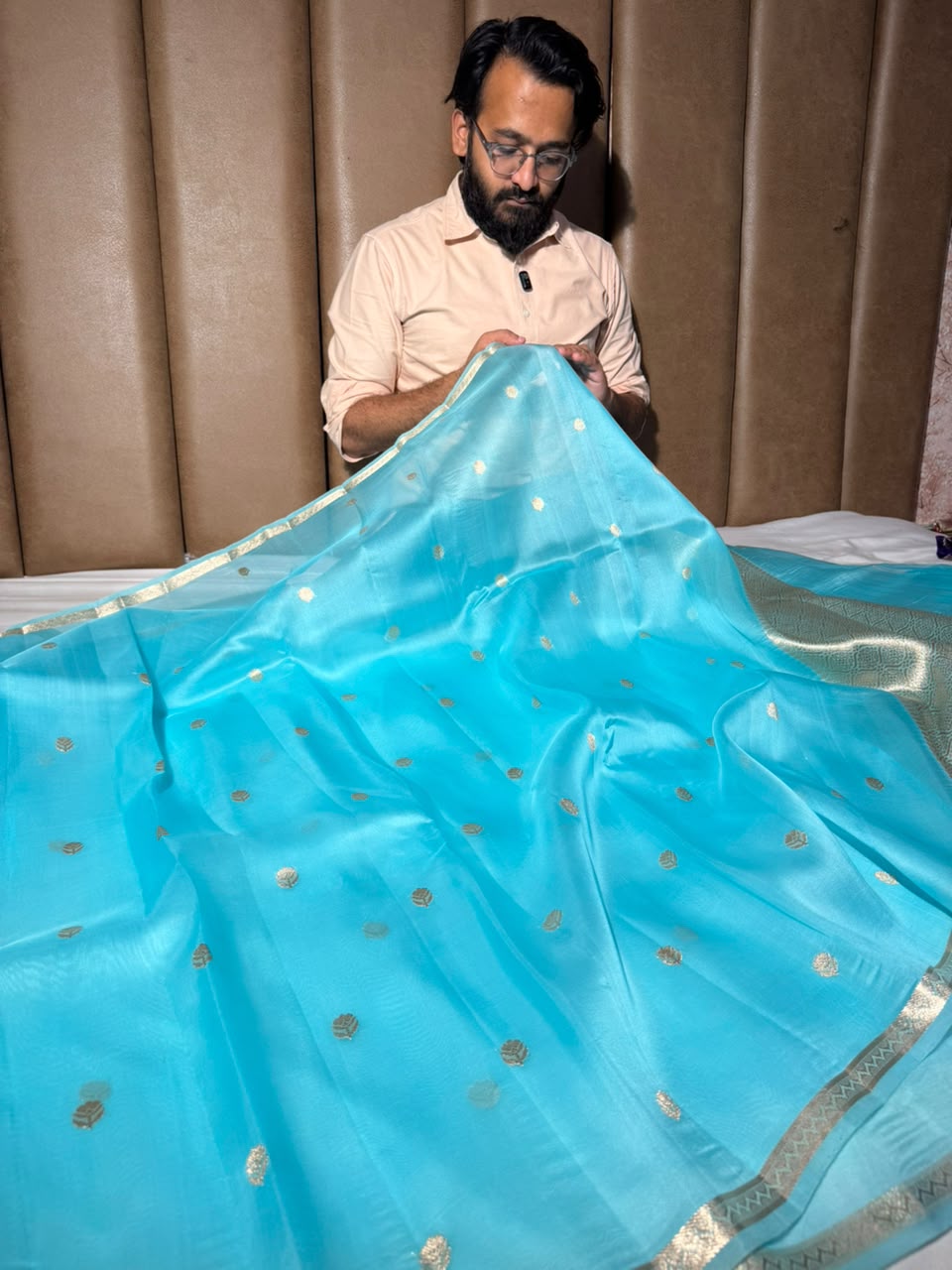 Pastel Blue Handwoven Pure Organza Banarasi Saree