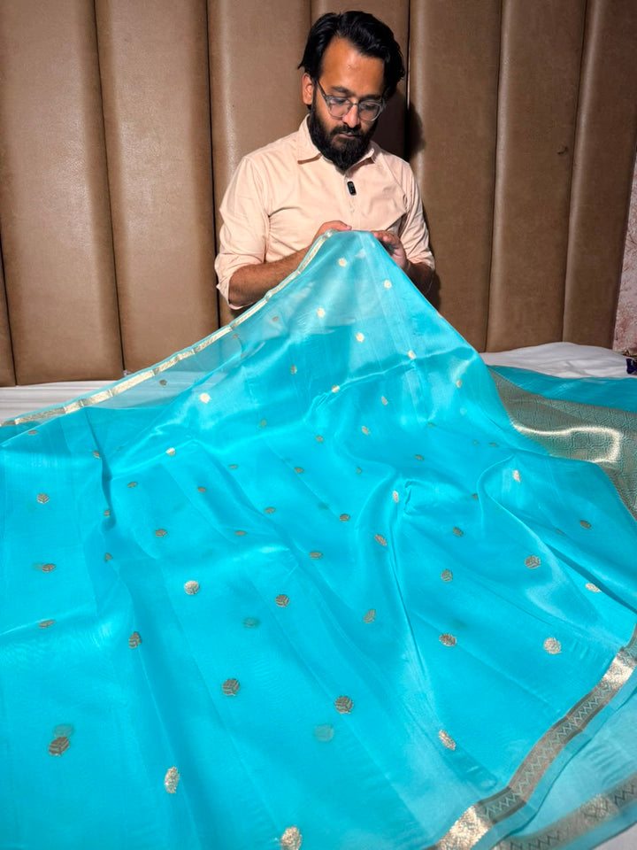 Pastel Blue Handwoven Pure Organza Banarasi Saree
