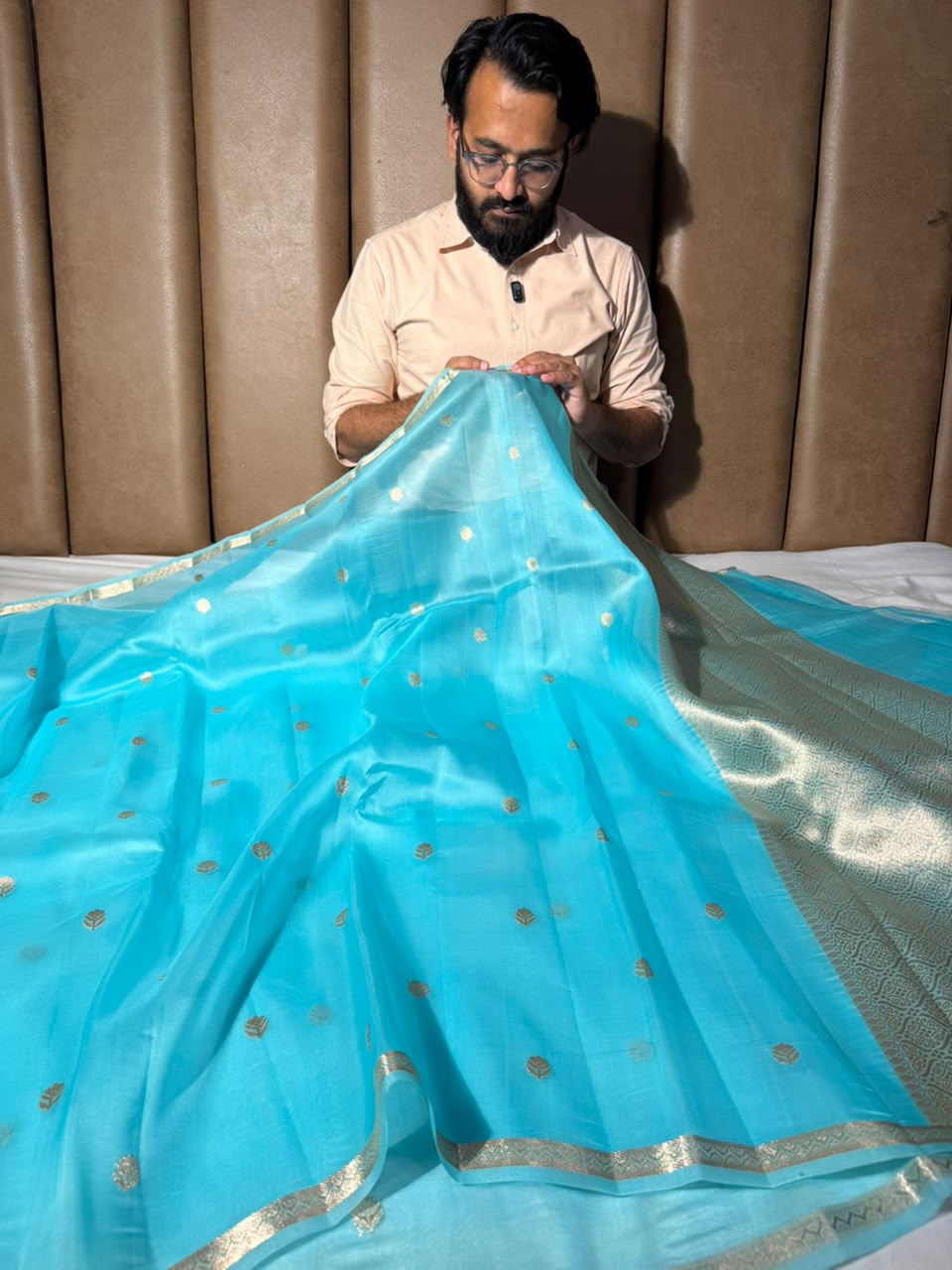 Pastel Blue Handwoven Pure Organza Banarasi Saree