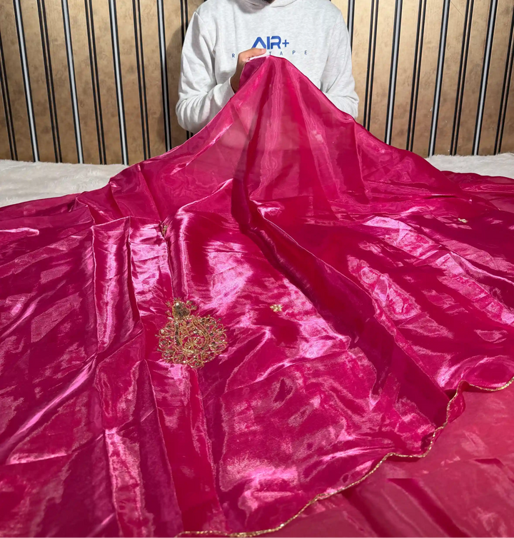 Rani Pink Shimmery Tissue Silk Handwork Saree