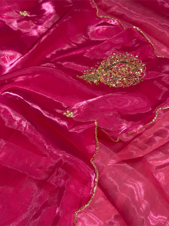 Rani Pink Shimmery Tissue Silk Handwork Saree