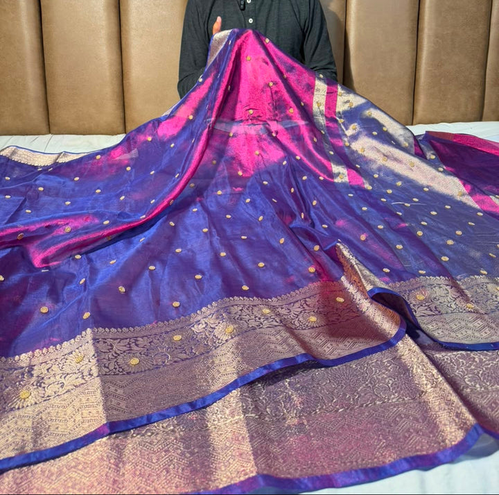 Rare Baigani Kora Tissue Handwork Motifs Saree