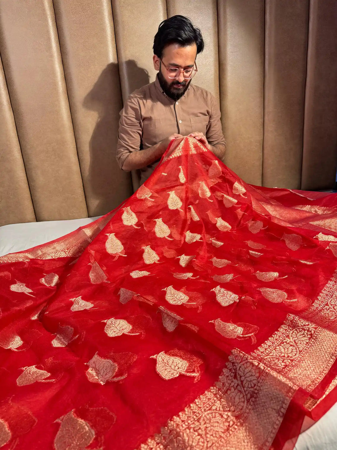 Red Organza Silk Banarasi Saree