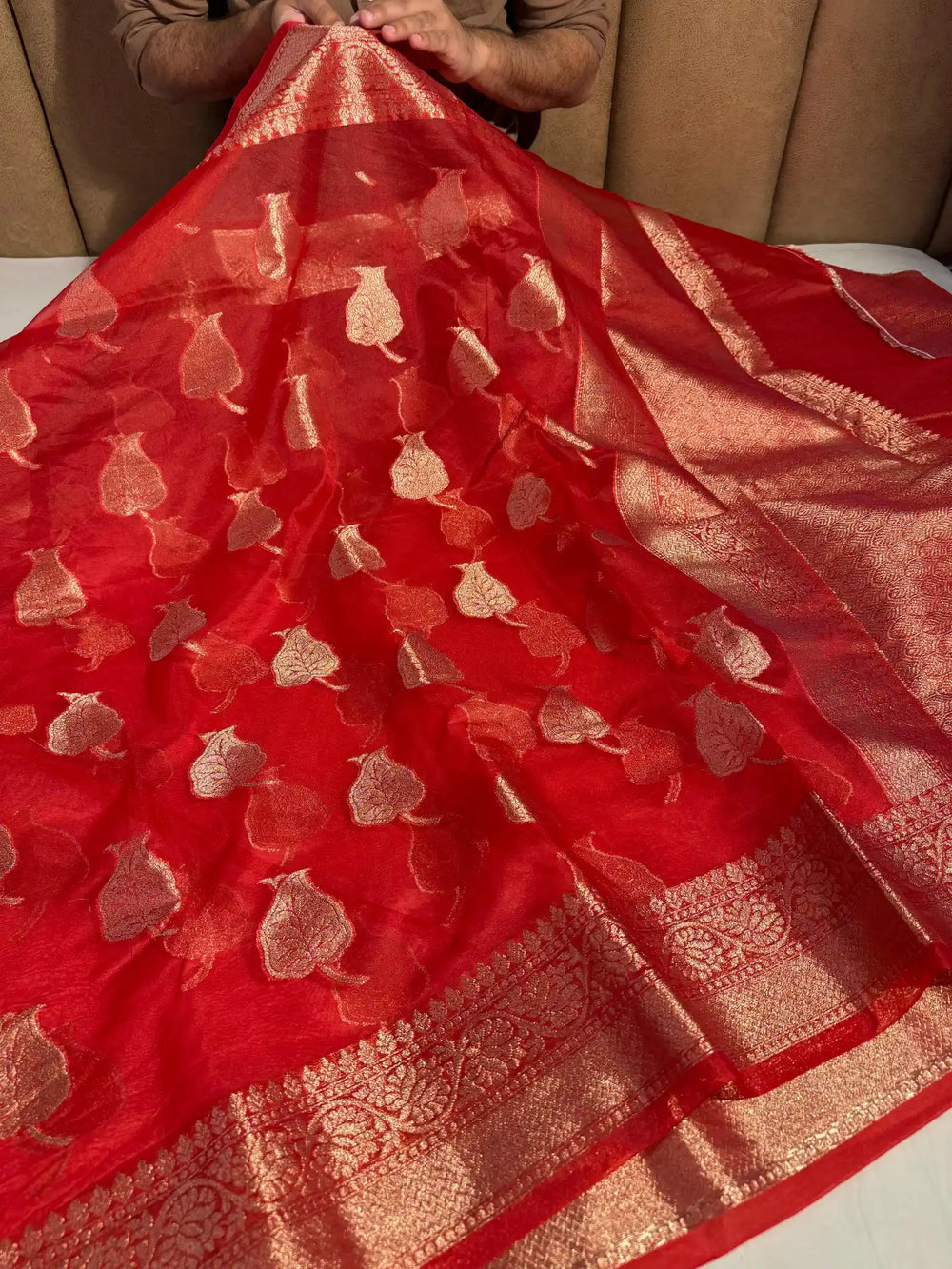 Red Organza Silk Banarasi Saree