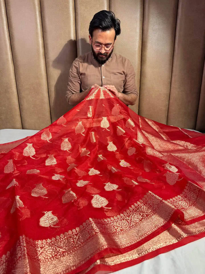 Red Organza Silk Banarasi Saree