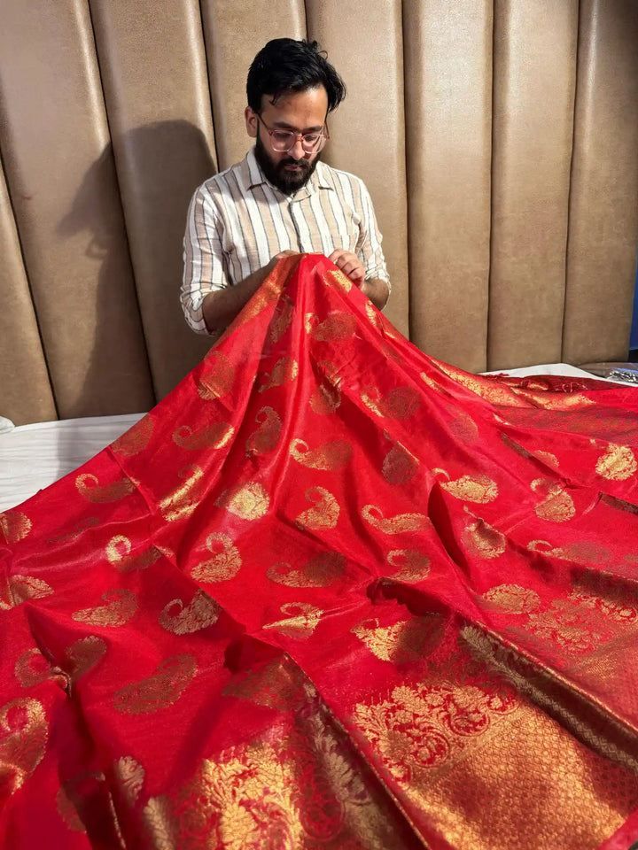 Red Warm Silk Intricate Motifs Banarasi Saree 