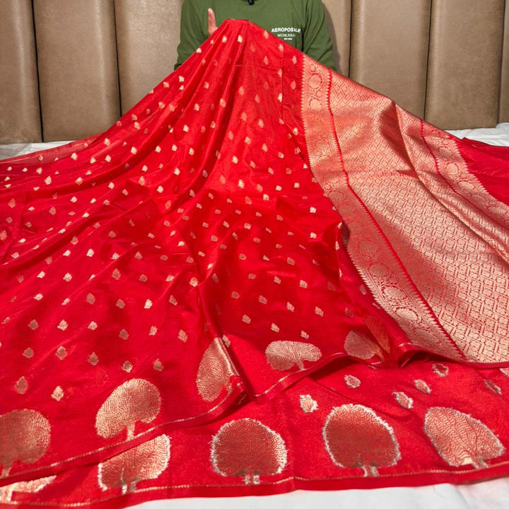 Bridal Red Traditional Chinia Silk Banarasi Saree