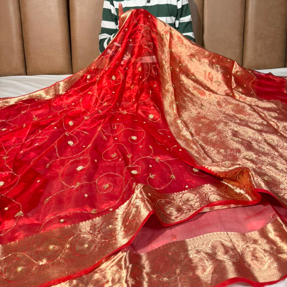 Carmine Red Pure Tissue Silk delicate Handwork Saree